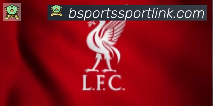 Bsports官网合作伙伴