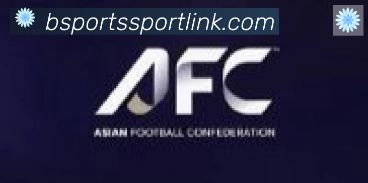 Bsports官网合作伙伴