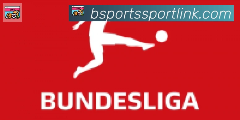 Bsports官网合作伙伴