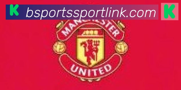 Bsports官网合作伙伴